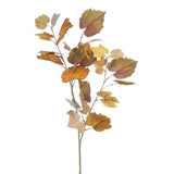 Maple Leaf Spray