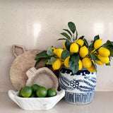 Blue and White Floral Ming Jar (Flat Lid)