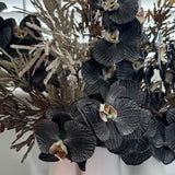 Phalaenopsis Orchid Stem (Infused Black - Large)