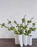 Fig Stem (Green)
