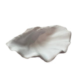 Resin Clam Shell