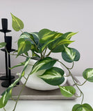 Organic Squat Pot