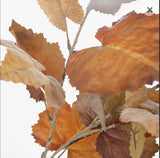 Maple Leaf Spray