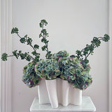 Eucalyptus Seed Spray (Green)