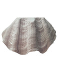 Resin Clam Shell