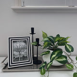 Silver Tray