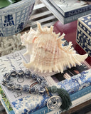 Murex Ramosus Shell