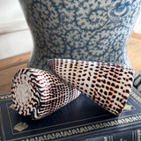 Conus Literatus Shell