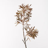 Bean Spray (Brown)