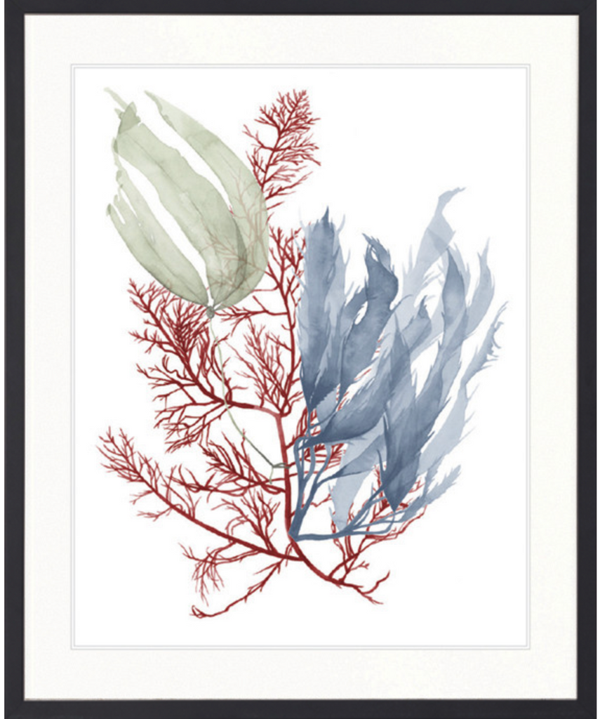 Seaweed Collage III