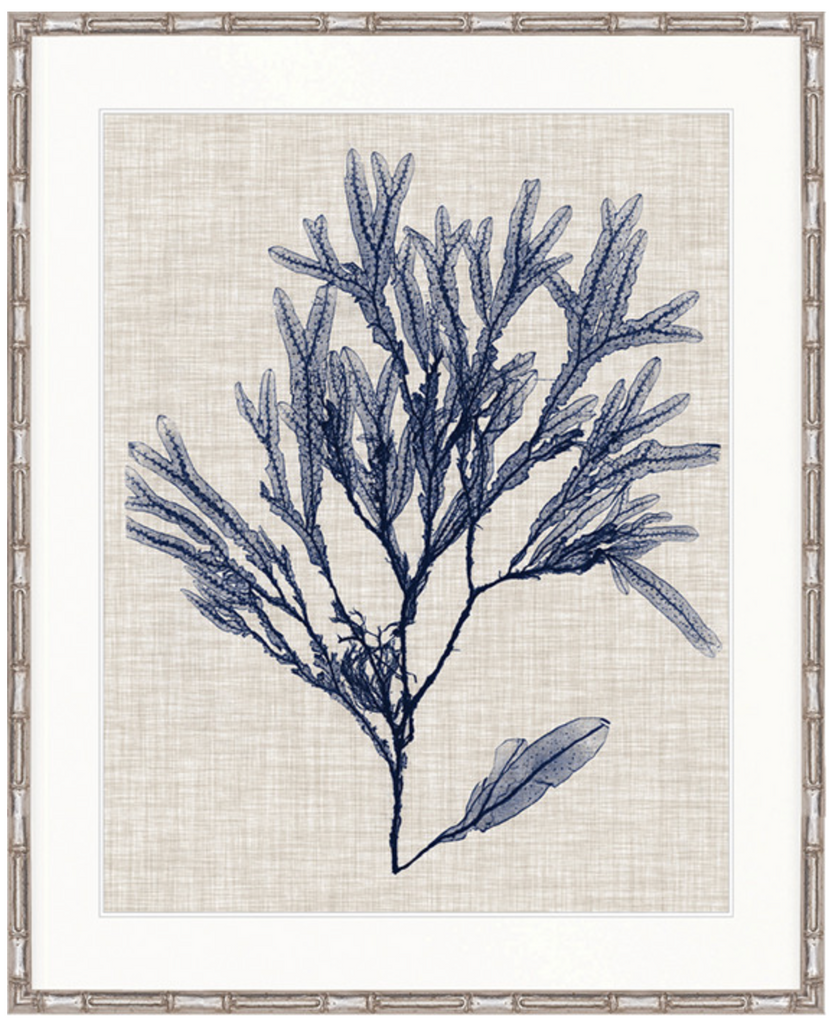Delicate Seaweed VI (Blue)