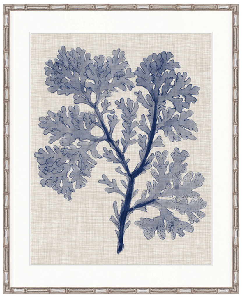 Delicate Seaweed V (Blue)