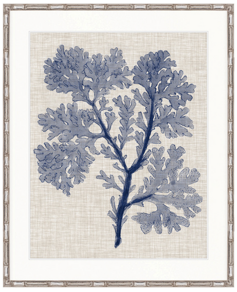 Delicate Seaweed V (Blue)