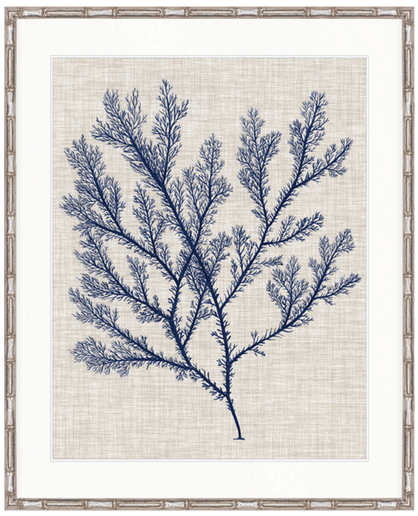 Delicate Seaweed I (Blue)