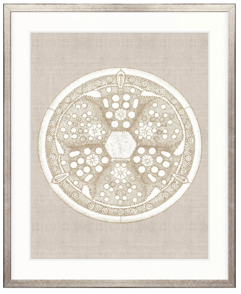 Le Diatomee III (Natural)