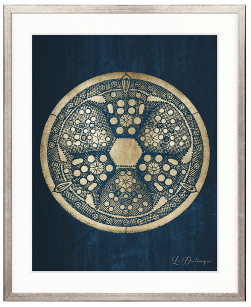 Le Diatomee IV (Blue)