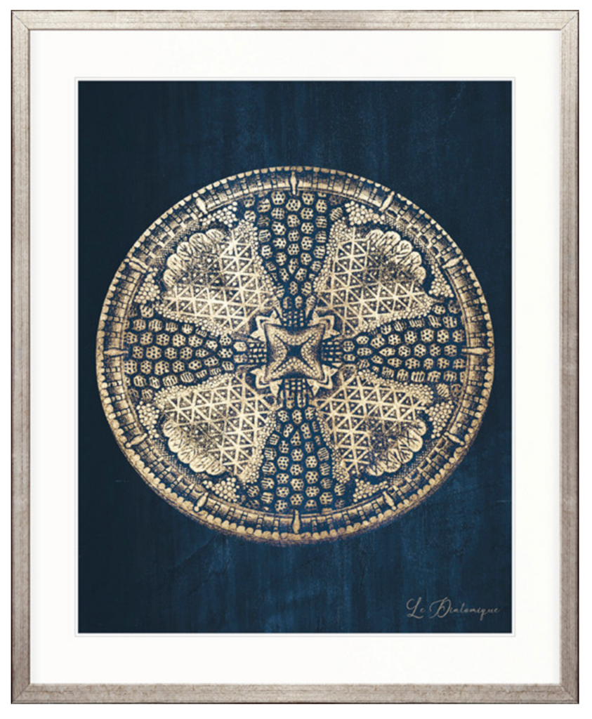 Le Diatomee III (Blue)
