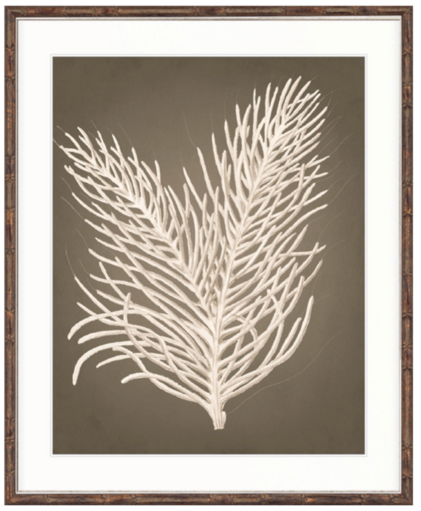 Esper Coral I