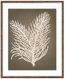 Esper Coral I