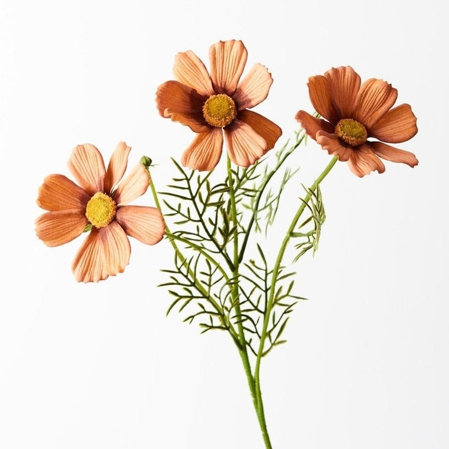 Cosmos Spray (Rust)