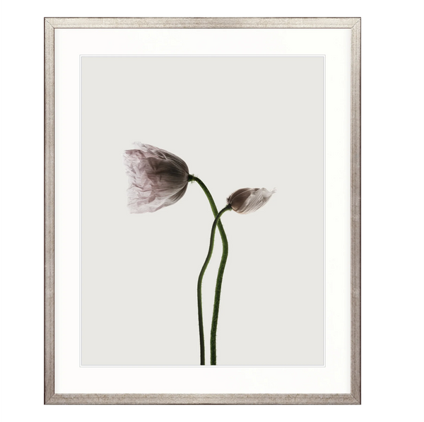 Floret I