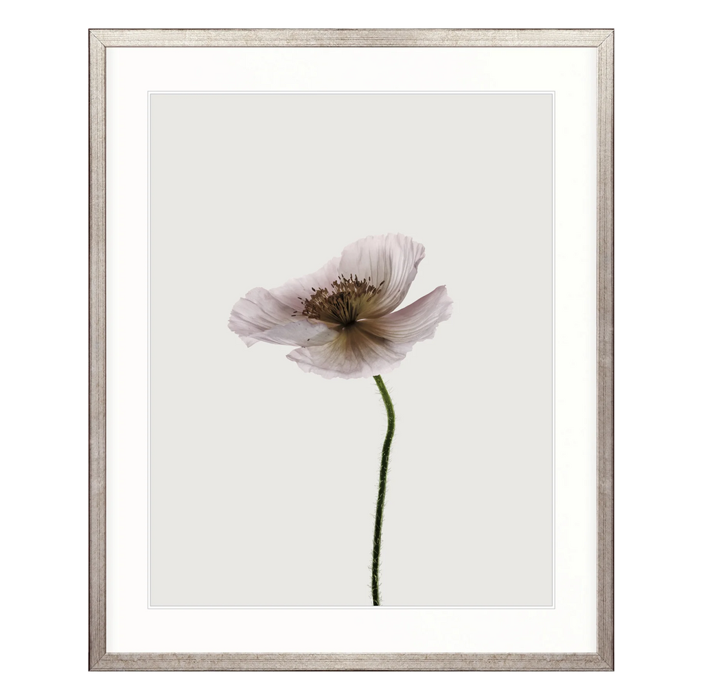 Floret II