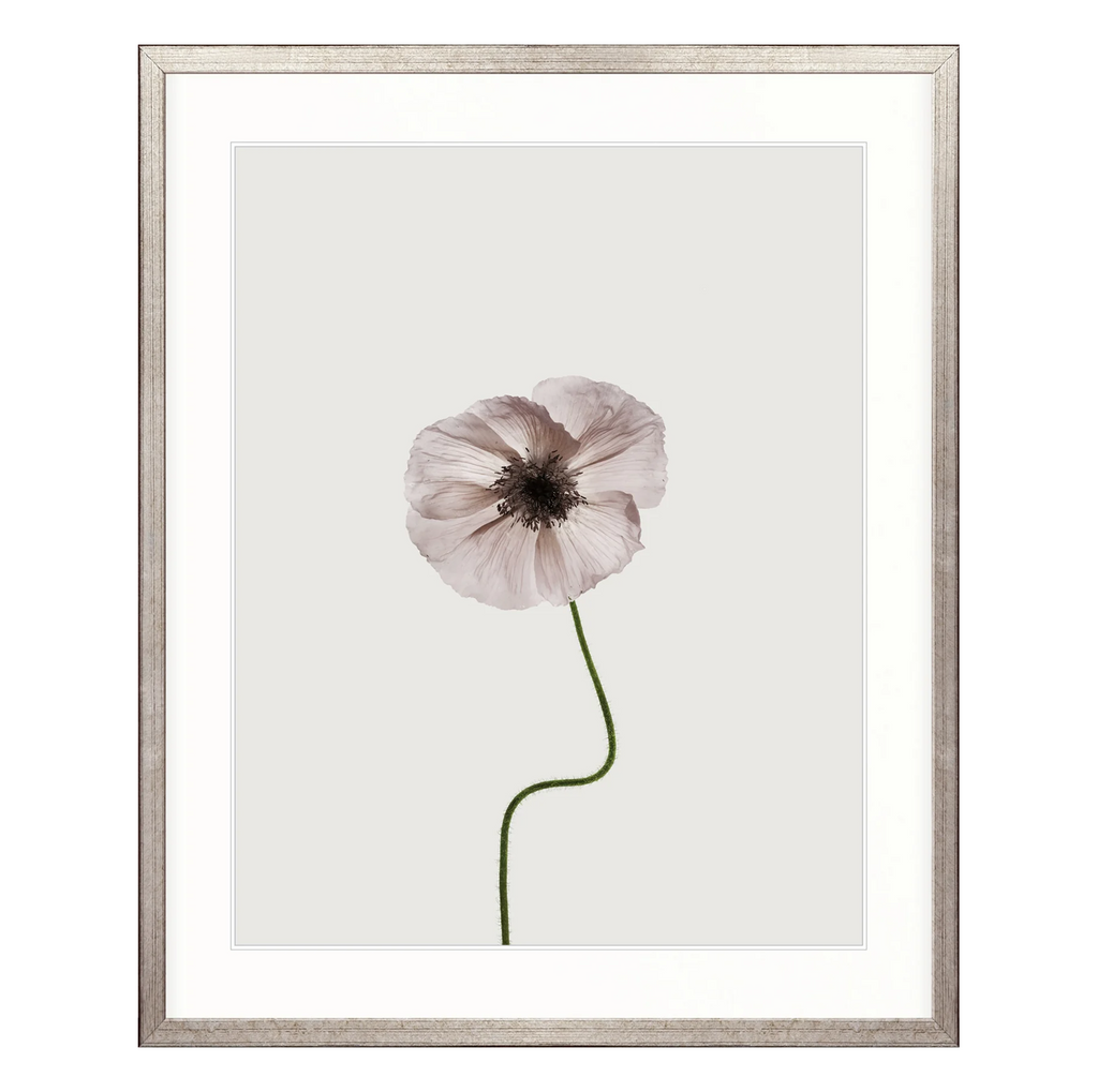 Floret IV