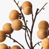 Longan Spray