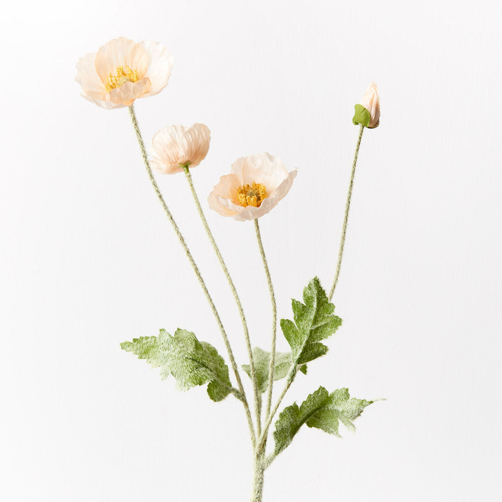 Poppy Spray (Buttercup)