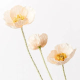 Poppy Spray (Buttercup)