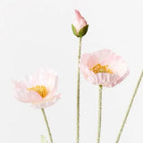 Poppy Spray (Light Pink)