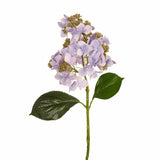 Hydrangea Cone Spray (Lavender Stem)