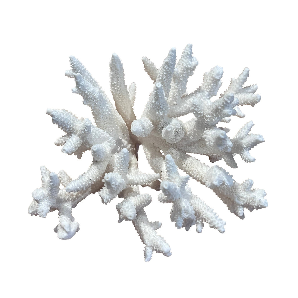 Coral (Medium E)