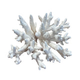Coral (Medium E)