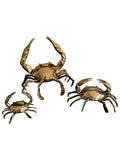 Brass Crab
