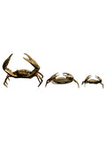 Brass Crab