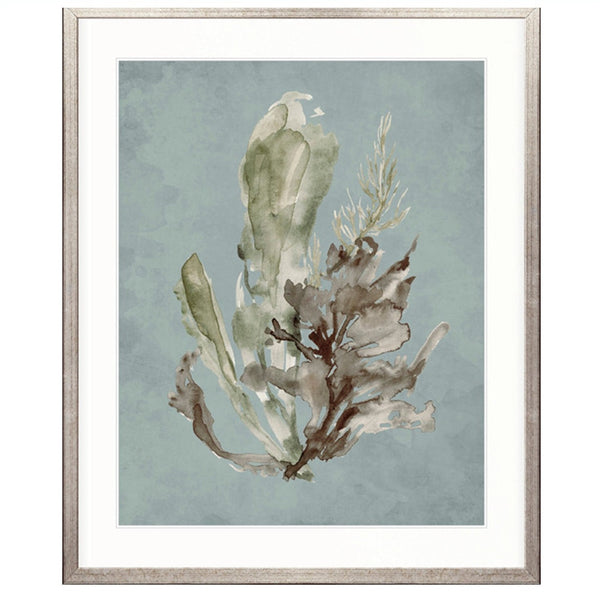 Margate Coral No. 1