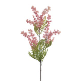 Mimosa Spray (Pink Stem)