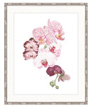 Oriental Orchid No. 1