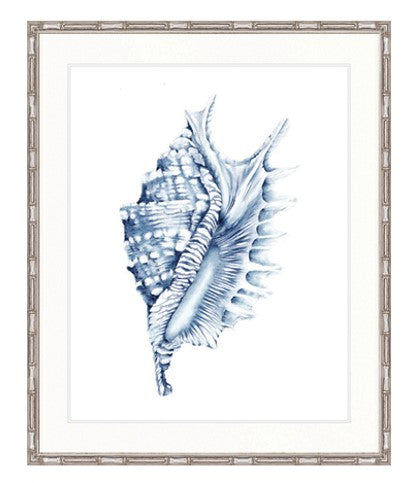 Shell No. 4