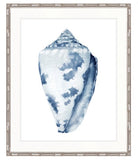 Shell No. 1