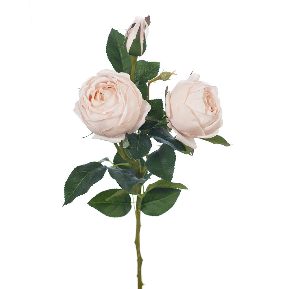 Rose Spray (Soft Pink Stem)