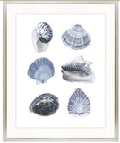 Blue Shells