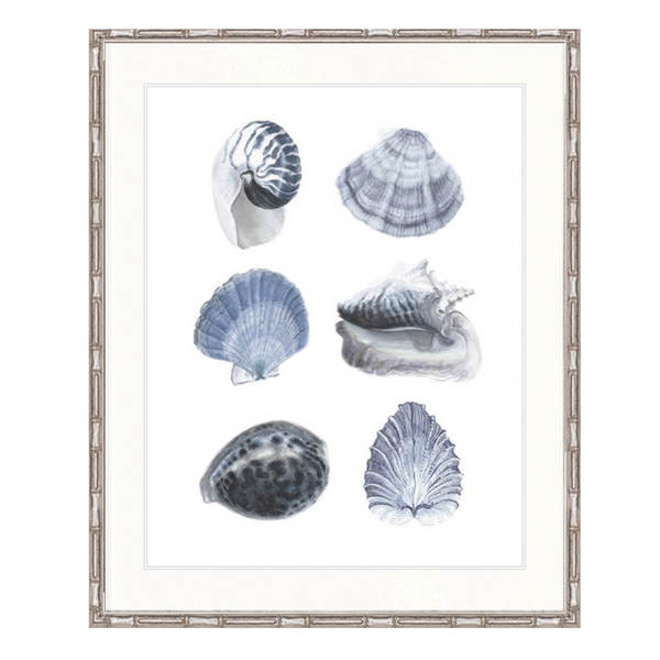 Blue Shells
