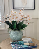 Phalaenopsis Orchid Stem (Infused Natural - Small)