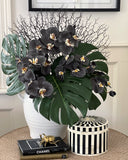 Phalaenopsis Orchid Stem (Infused Black - Large)
