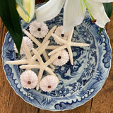 Blue and White Ceramic Dragon Plate (with stand)