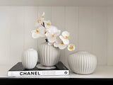 Phalaenopsis Orchid Stem (White - Small)