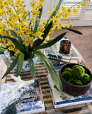 Dancing Orchid Spray (Yellow Stem)