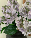 Hydrangea Cone Spray (Lavender Stem)